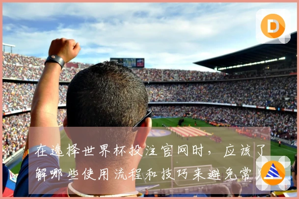 在选择世界杯投注官网时,应该了解哪些使用流程和技巧来避免常见误区-