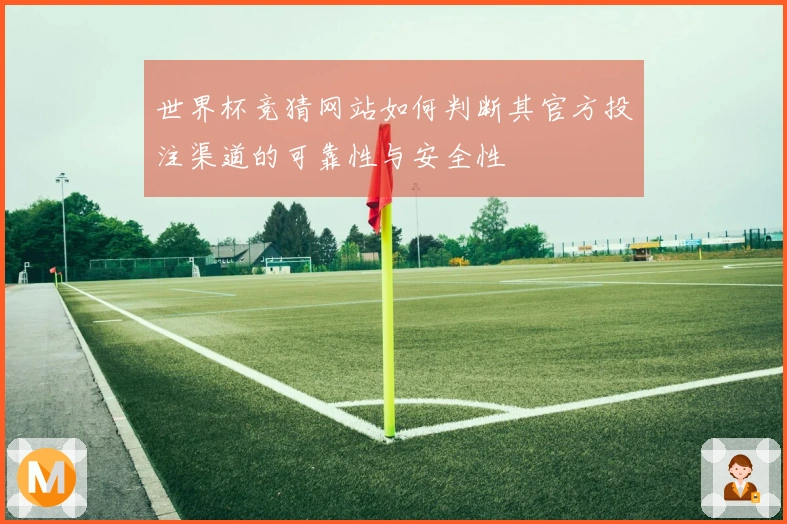 世界杯竞猜网站如何判断其官方投注渠道的可靠性与安全性