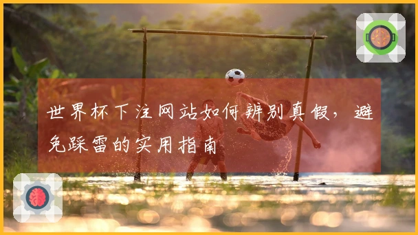 世界杯下注网站如何辨别真假，避免踩雷的实用指南