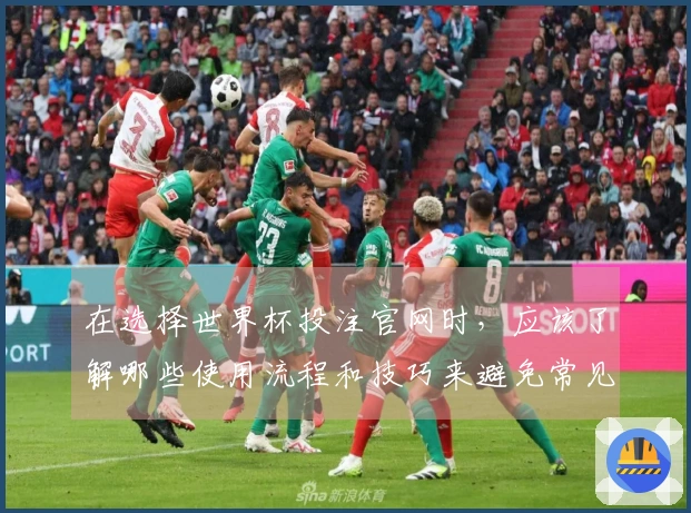 在选择世界杯投注官网时，应该了解哪些使用流程和技巧来避免常见误区-