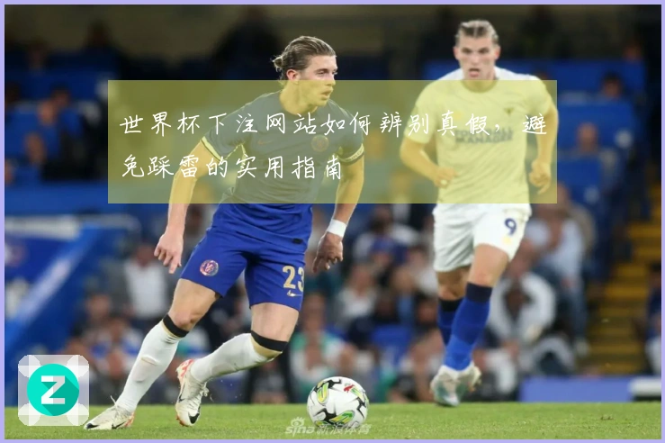 世界杯下注网站如何辨别真假，避免踩雷的实用指南