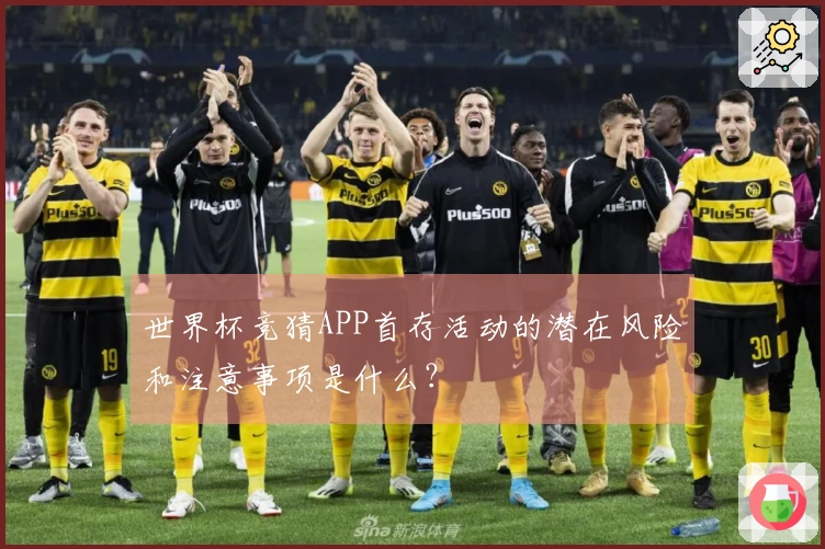 世界杯竞猜APP首存活动的潜在风险和注意事项是什么？